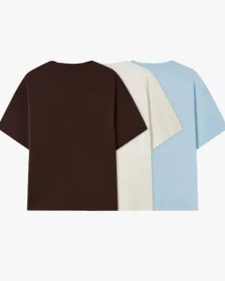 Basic Tee Brand Palette 3xPack