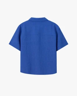 Half Polo Blue