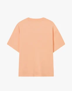 Pack De 3 Camisetas Summer Colors